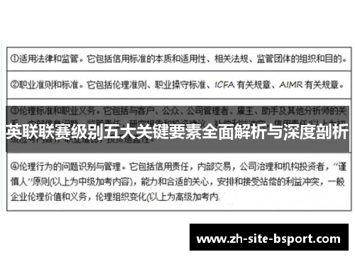 英联联赛级别五大关键要素全面解析与深度剖析