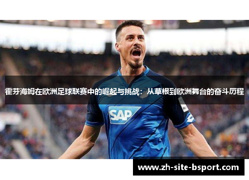 霍芬海姆在欧洲足球联赛中的崛起与挑战：从草根到欧洲舞台的奋斗历程