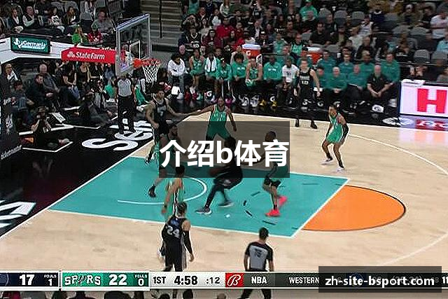 介绍b体育